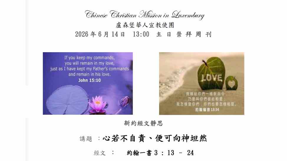 cover-newsletter-issue-no-2026-6-14