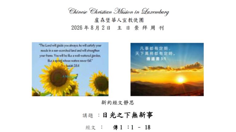 cover-newsletter-issue-no-2026-8-2