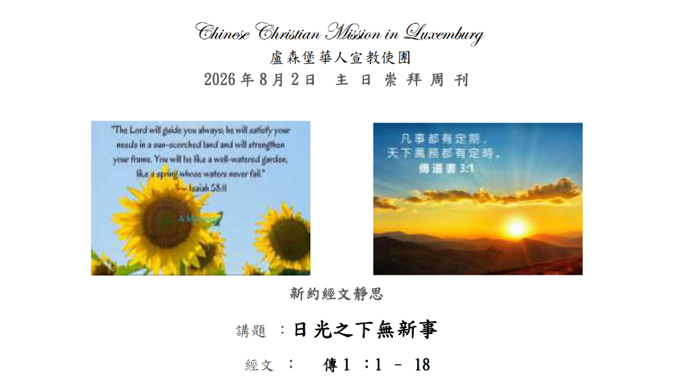 cover-newsletter-issue-no-2026-8-2