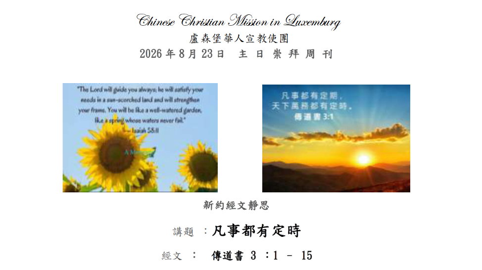 cover-newsletter-issue-no-2026-8-23